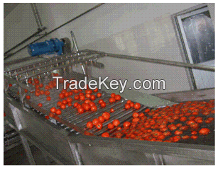 TOMATO PASTE PLANT/MACHINERY