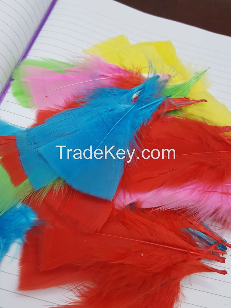 Dyed Turkey Flat Feathers 