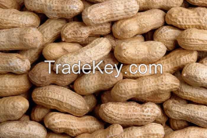 RAW PEANUTS WHITE AND RED SKIN