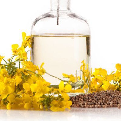 Canola Oil (Organic) Rapeseed Oil