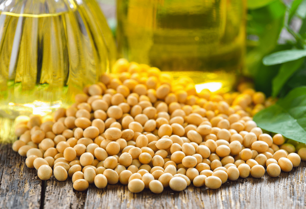 Soybean Oil, RBD (Organic)