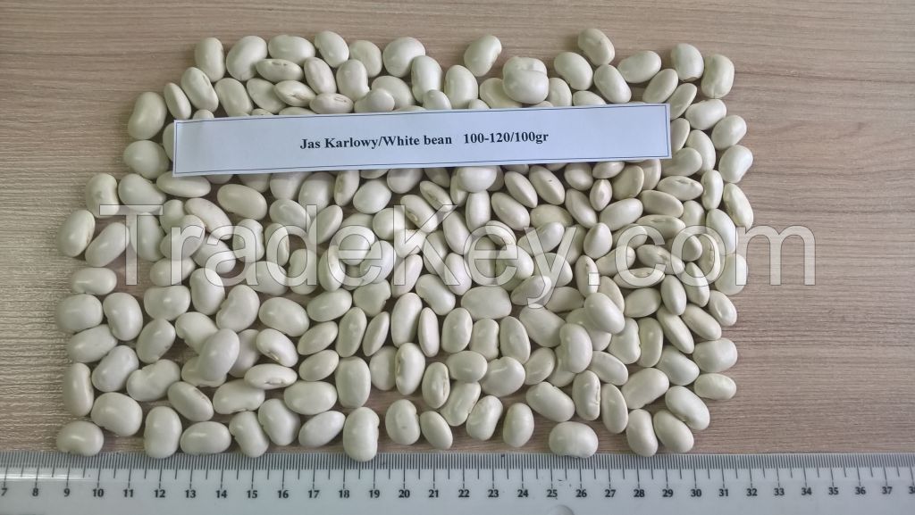 Kidney beans poland