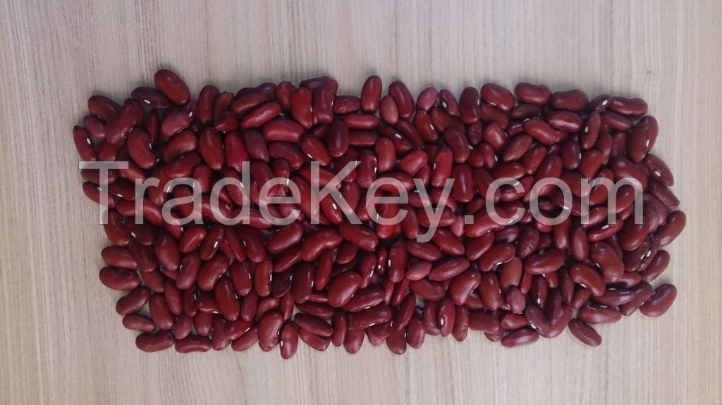 Red Kidney beans 