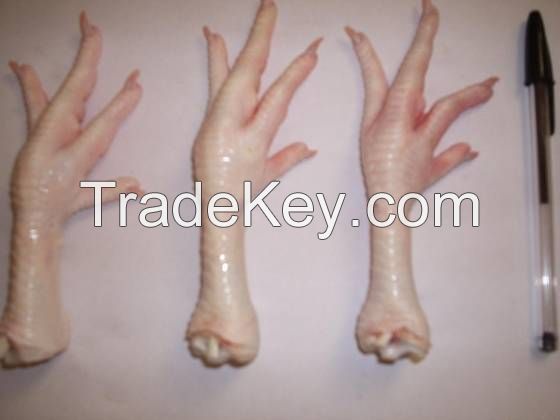 Grade A Processed Frozen Chicken Feet/Paws