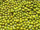 mung bean