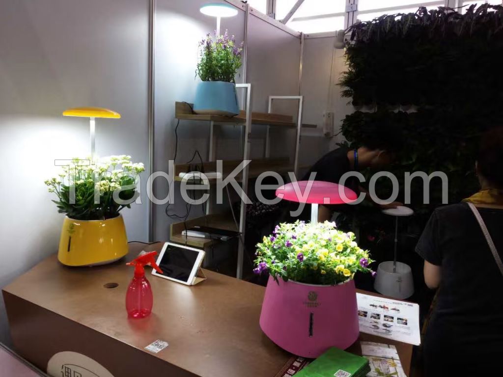 Automatic Led Light Flower Plant Pot Indoor