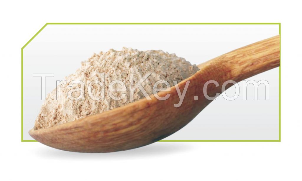 Dehydrated White Onion Powder