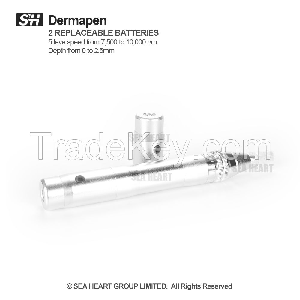 Best price US electric derma pen with tow replaceable batteries