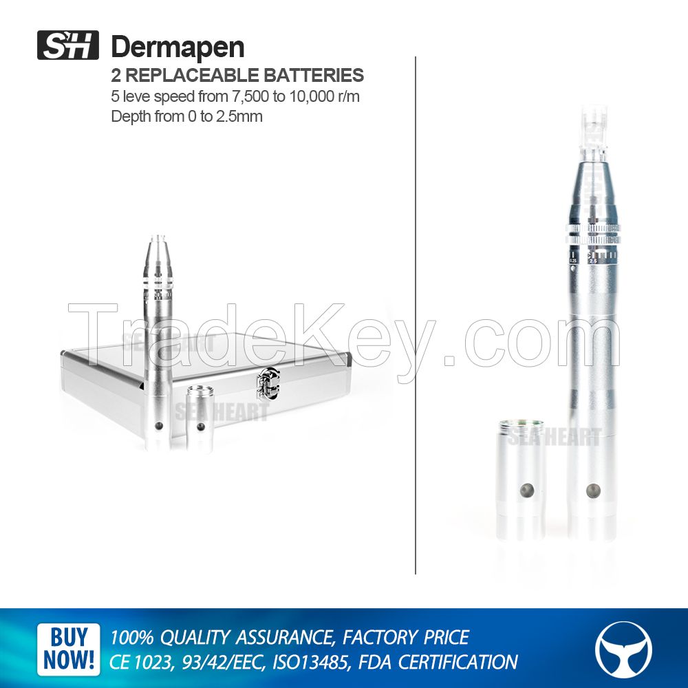 Best price US electric derma pen with tow replaceable batteries