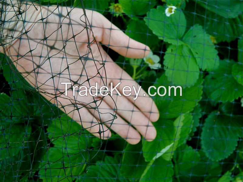 100 virgin plastic bird control net /bird barrier net