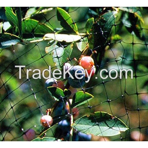 100 virgin plastic bird control net /bird barrier net