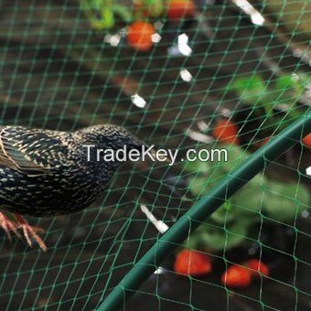 Agriculture used plastic anti bird net /anti-bird net for sale