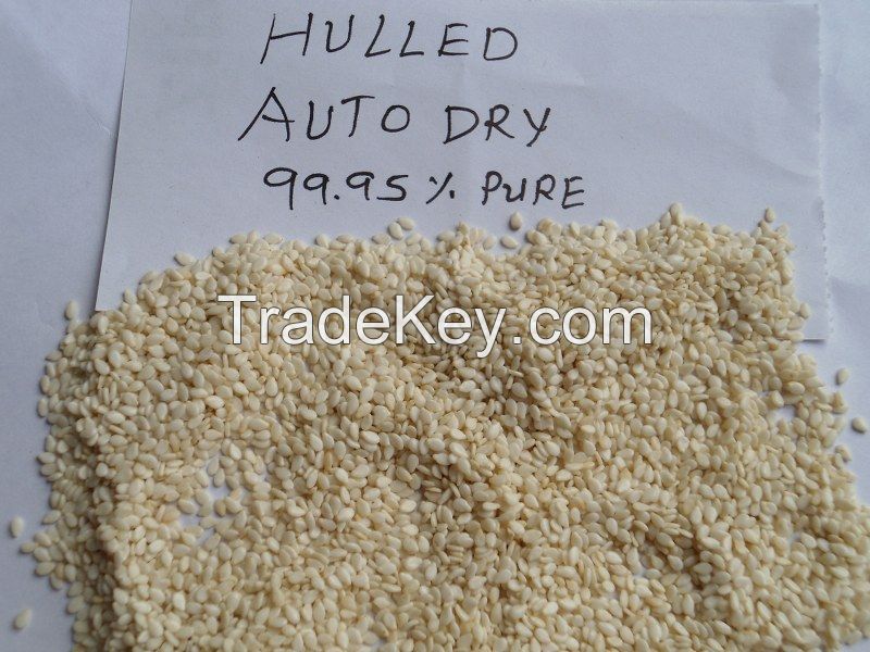 Sesame Seeds | Un-Hulled | White Creamy and Brown