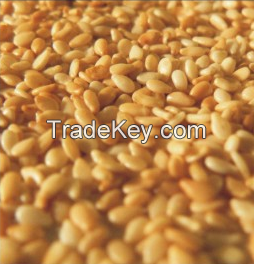 Sesame Seeds | Hulled | White and Brown