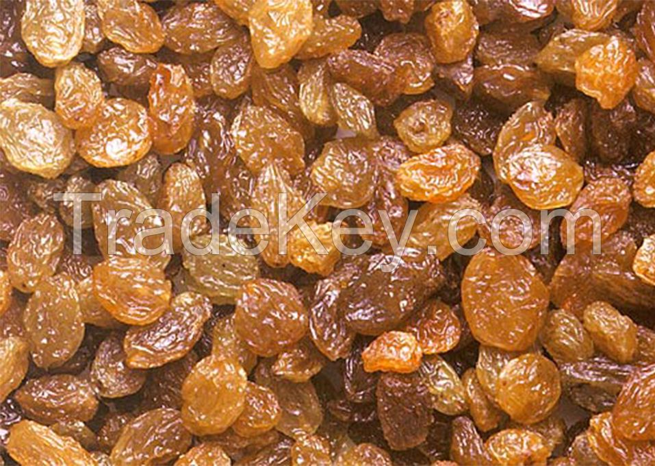 Organic Sultana Raisins