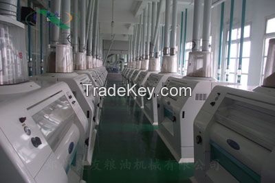 300T/24H Floor type wheat flour production line