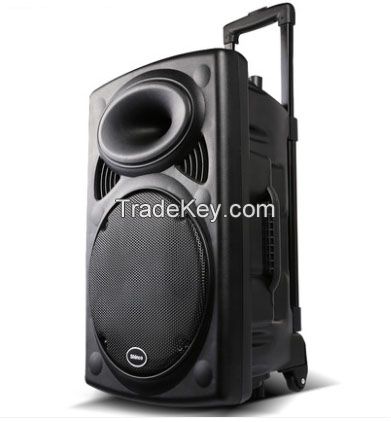 Big Power Portable Speaker with Bluetooth Function Outdoor Speaker