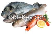 AGRICULTURE PRODUCTS / AND SEA FOODS AND SEA FOODS