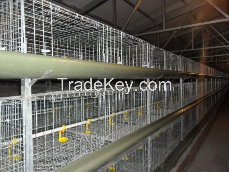 H Type Cages for Growing Broilers