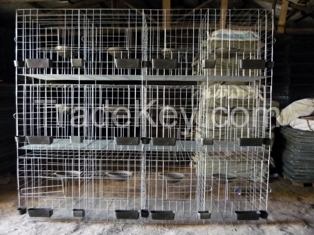 H Type Pigeon Cage Hot Sale in Saudi Arabia Market