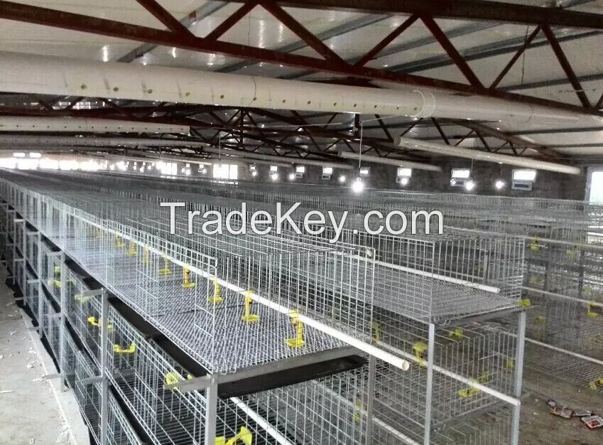 Wire Mesh Baby Chicken Cage for Sale