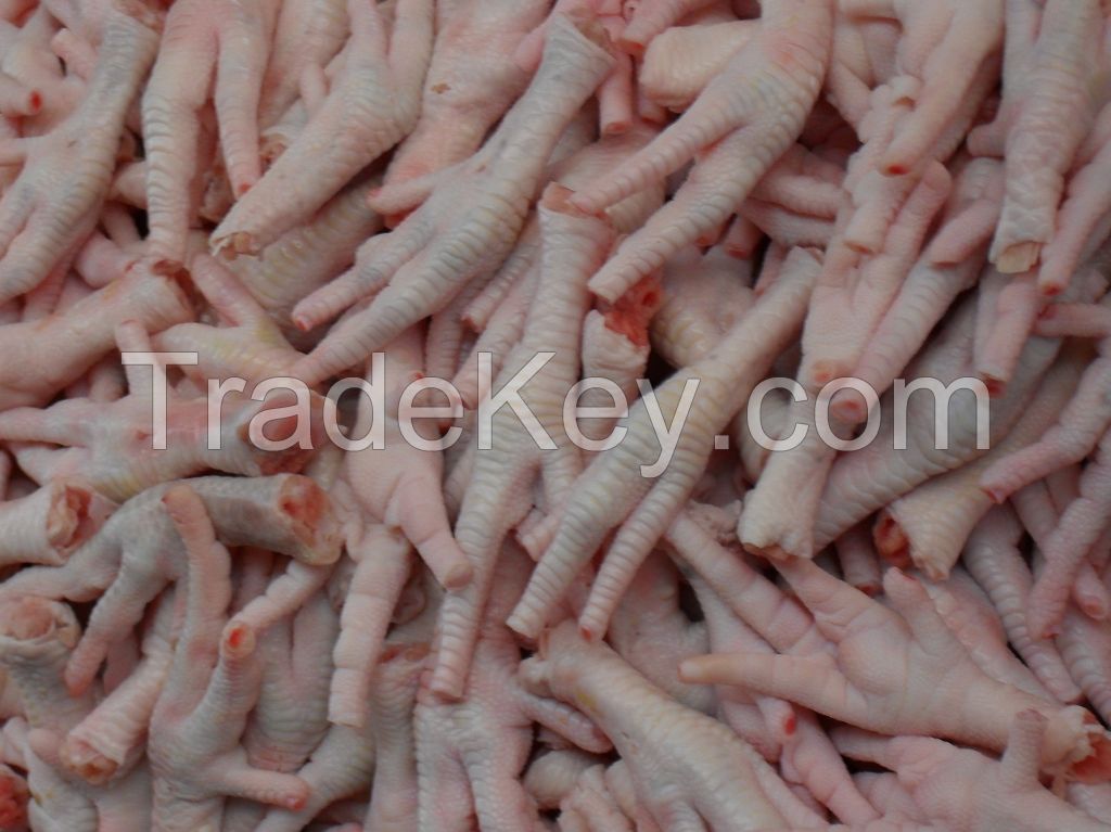 Chicken Feet| Chicken Paws| Frozen Chicken Feet| Frozen Chicken Paws