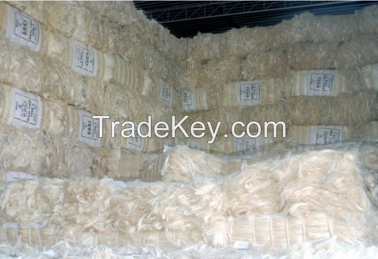 Sisal Fiber