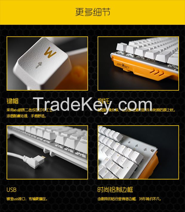 Key-619