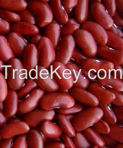 Red  Kidney Beans