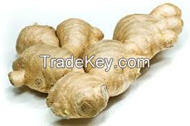 Fresh Ginger Available For Sale & Export