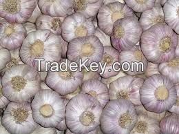 Export Quality Dry Garlic Available For Sale