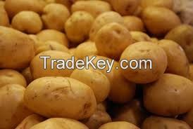 Fresh Irish Potatoes For Sale & Export