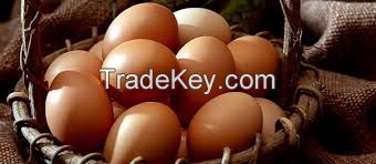 Farm Fresh Chicken Brown & White Table Eggs