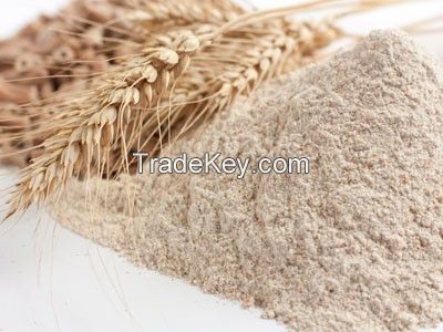 Wholemeal wheat flour NON GMO in 50 kg bags