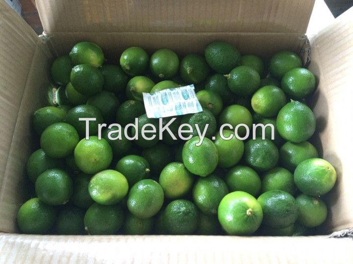 Best Offer for Fresh Lime/Lemon From VietNam