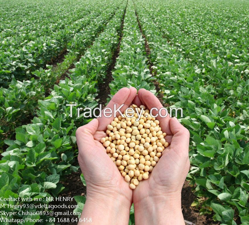 Best offer for Soy Bean Meal from VietNam