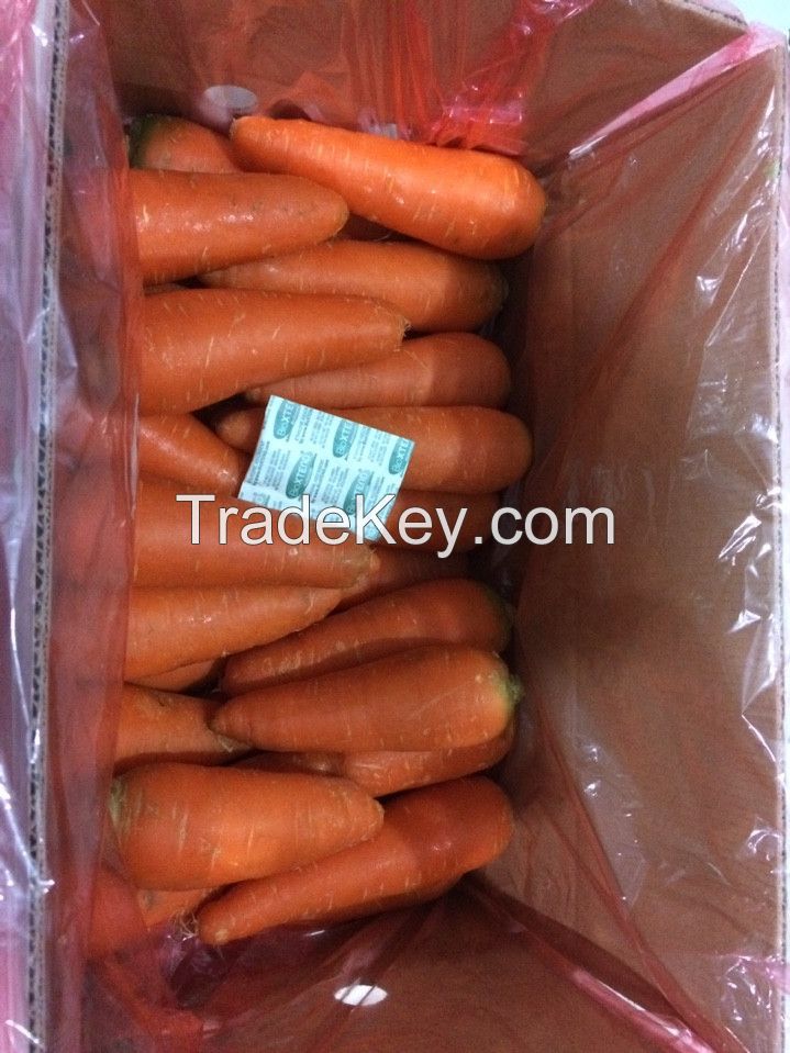 Fresh Carrot