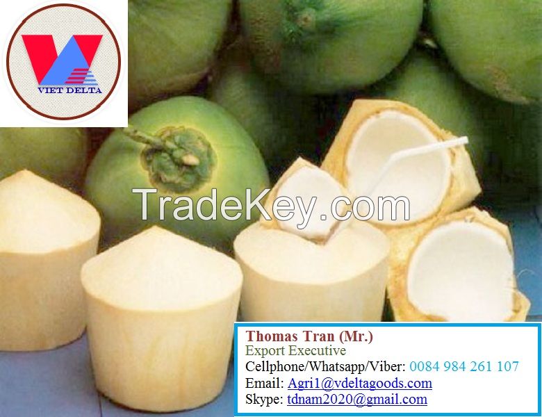 FRESH YOUNG COCONUT - HIGH QUALITY FROM VIETNAM- +84-984261107