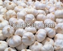 Fresh Ly Son Island Garlic