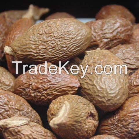 Viet Nam Malva nut for Health/ Skin Beauty (WhatsApp/ Wechat/ Skype +84 1676540581)