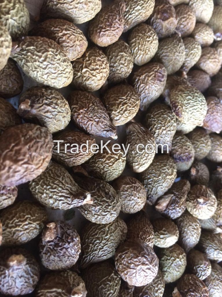 Viet Nam Malva nut for Health/ Skin Beauty Very Cheap (WhatsApp/ Wechat/ Skype +84 1676540581)