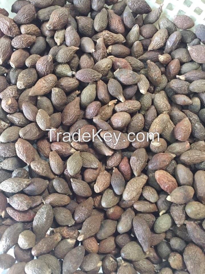Viet Nam Malva nut for Health/ Skin Beauty Very Cheap (WhatsApp/ Wechat/ Skype +84 1676540581)