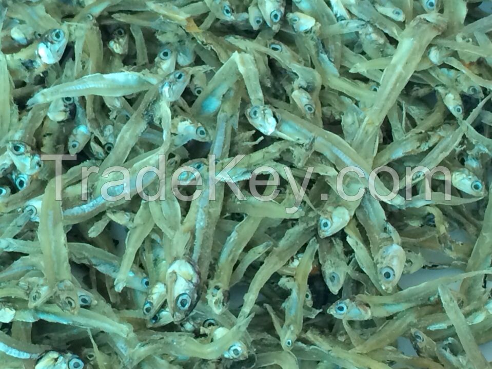 Dried Black Anchovy/Sprats from Vietnam/WhatsApp +84962946460