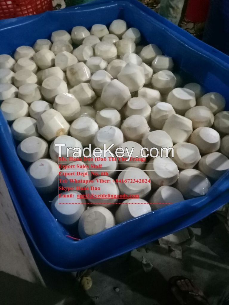 FRESH YOUNG COCONUT - HIGH QUALITY FROM VIETNAM- +84-984261107