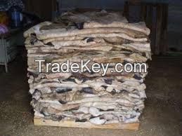 cow skin /hide in bulk quantity