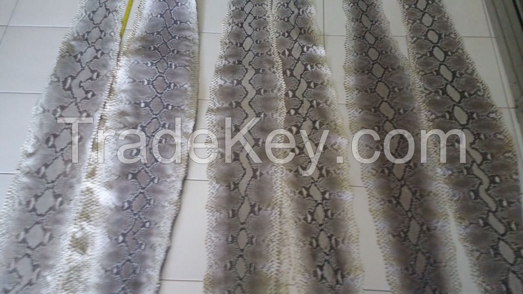 python snake skin hide