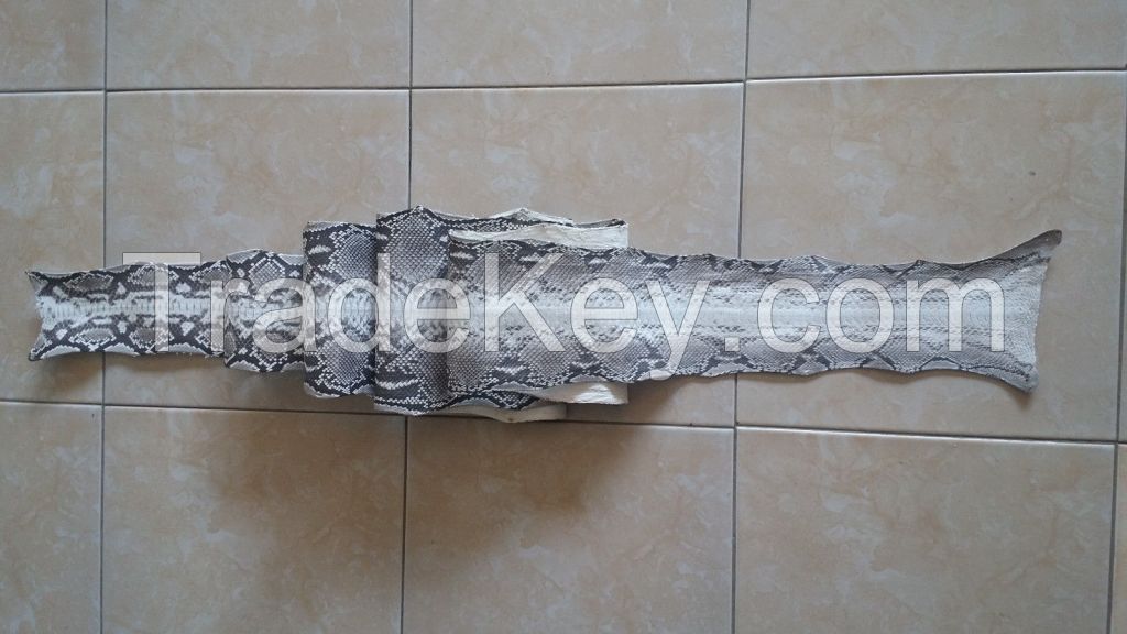 python snake skin hide