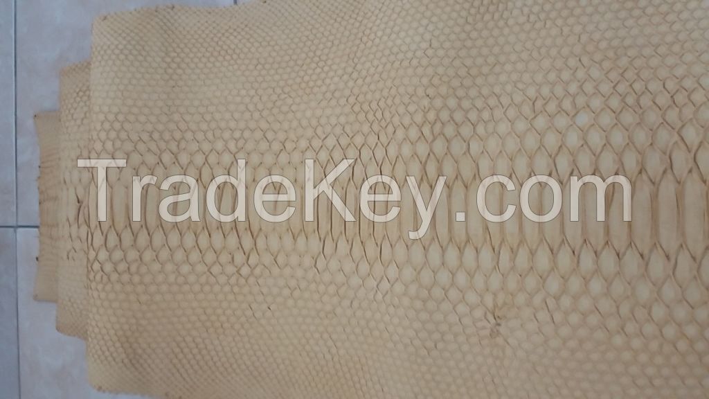 python snake skin hide