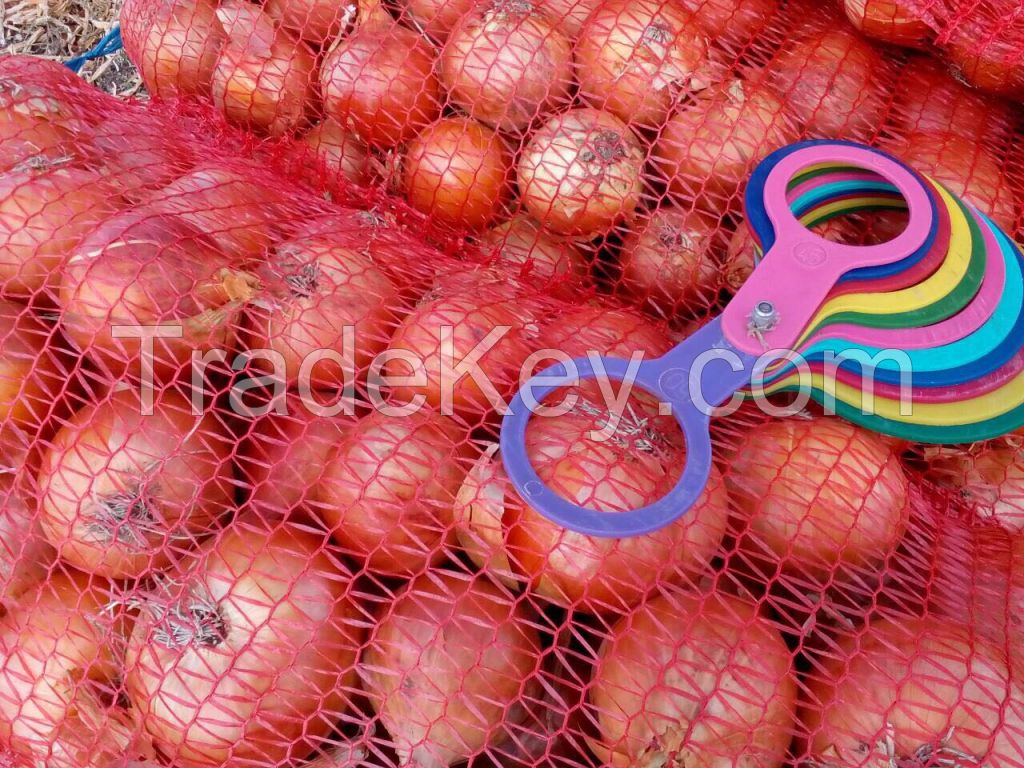 onion