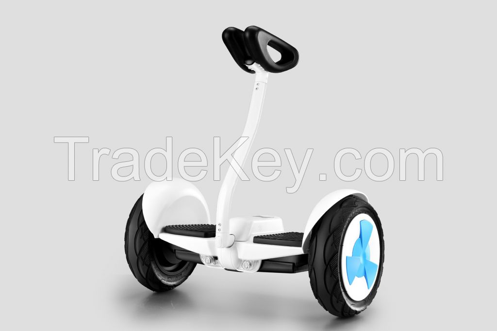 Electric Self-Balancing Unicycle with 2 Wheelers